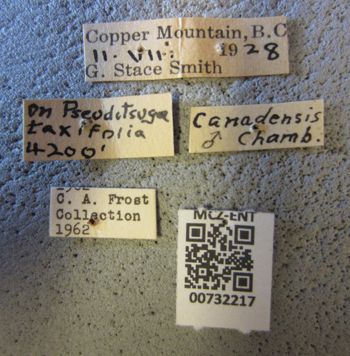 Media type: image;   Entomology 732217 Aspect: labels